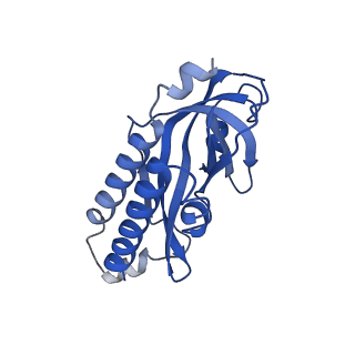 23437_7lma_G_v1-2
Tetrahymena telomerase T3D2 structure at 3.3 Angstrom