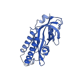 23437_7lma_G_v1-3
Tetrahymena telomerase T3D2 structure at 3.3 Angstrom