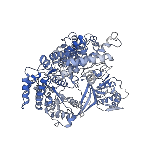 23439_7lmb_A_v1-2
Tetrahymena telomerase T5D5 structure at 3.8 Angstrom