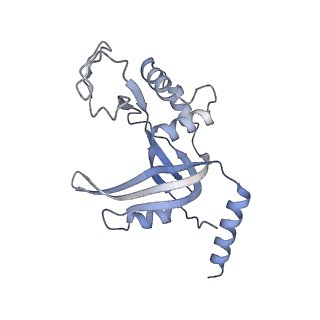 23439_7lmb_D_v1-2
Tetrahymena telomerase T5D5 structure at 3.8 Angstrom