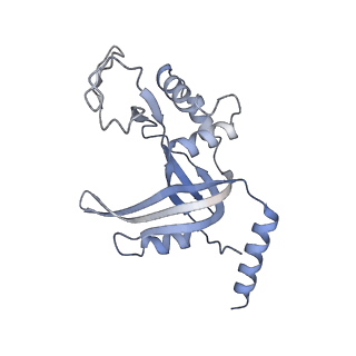 23439_7lmb_D_v1-3
Tetrahymena telomerase T5D5 structure at 3.8 Angstrom