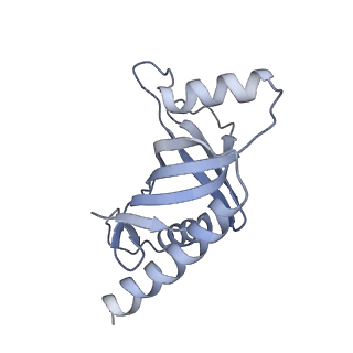 23439_7lmb_E_v1-2
Tetrahymena telomerase T5D5 structure at 3.8 Angstrom