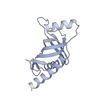 23439_7lmb_E_v1-3
Tetrahymena telomerase T5D5 structure at 3.8 Angstrom