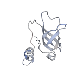 23439_7lmb_F_v1-2
Tetrahymena telomerase T5D5 structure at 3.8 Angstrom