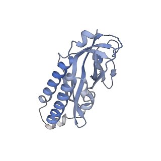23439_7lmb_G_v1-3
Tetrahymena telomerase T5D5 structure at 3.8 Angstrom