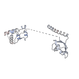 23439_7lmb_H_v1-2
Tetrahymena telomerase T5D5 structure at 3.8 Angstrom