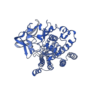 23441_7lms_A_v1-1
Structure of human SetD3 methyl-transferase in complex with 2A protease from Coxsackievirus B3