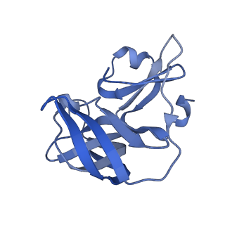 23441_7lms_B_v1-1
Structure of human SetD3 methyl-transferase in complex with 2A protease from Coxsackievirus B3