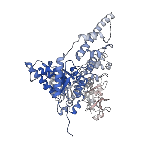 23443_7lmz_A_v1-0
Cryo-EM structure of human p97 in complex with Npl4/Ufd1 and Ub6 (Class 1)