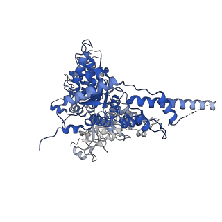 23443_7lmz_B_v1-0
Cryo-EM structure of human p97 in complex with Npl4/Ufd1 and Ub6 (Class 1)