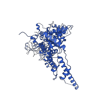 23443_7lmz_C_v1-0
Cryo-EM structure of human p97 in complex with Npl4/Ufd1 and Ub6 (Class 1)