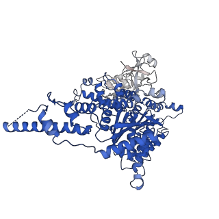 23443_7lmz_E_v1-0
Cryo-EM structure of human p97 in complex with Npl4/Ufd1 and Ub6 (Class 1)