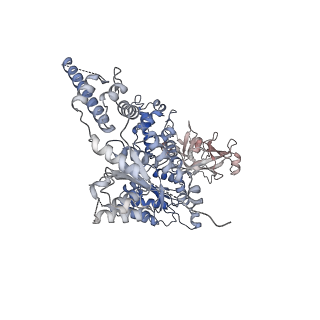 23443_7lmz_F_v1-0
Cryo-EM structure of human p97 in complex with Npl4/Ufd1 and Ub6 (Class 1)