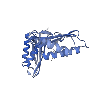 4073_5lmn_C_v1-4
Structure of bacterial 30S-IF1-IF3-mRNA translation pre-initiation complex (state-1A)