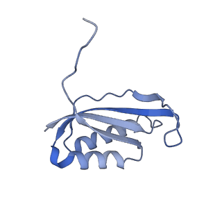 4073_5lmn_F_v1-4
Structure of bacterial 30S-IF1-IF3-mRNA translation pre-initiation complex (state-1A)