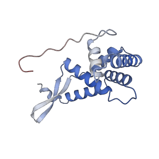 4073_5lmn_G_v1-4
Structure of bacterial 30S-IF1-IF3-mRNA translation pre-initiation complex (state-1A)