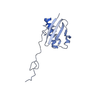 4073_5lmn_I_v1-4
Structure of bacterial 30S-IF1-IF3-mRNA translation pre-initiation complex (state-1A)