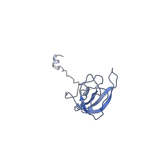 4073_5lmn_L_v1-4
Structure of bacterial 30S-IF1-IF3-mRNA translation pre-initiation complex (state-1A)