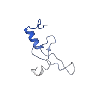4073_5lmn_N_v1-4
Structure of bacterial 30S-IF1-IF3-mRNA translation pre-initiation complex (state-1A)