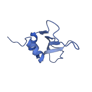 4073_5lmn_P_v1-4
Structure of bacterial 30S-IF1-IF3-mRNA translation pre-initiation complex (state-1A)