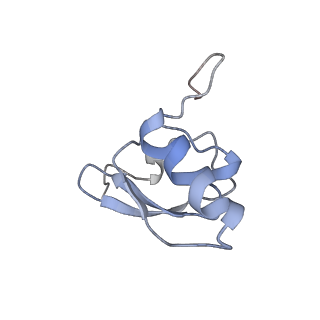 4073_5lmn_S_v1-4
Structure of bacterial 30S-IF1-IF3-mRNA translation pre-initiation complex (state-1A)