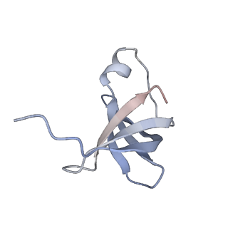 4073_5lmn_W_v1-4
Structure of bacterial 30S-IF1-IF3-mRNA translation pre-initiation complex (state-1A)