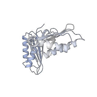 4074_5lmo_C_v1-2
Structure of bacterial 30S-IF1-IF3-mRNA translation pre-initiation complex (state-1B)