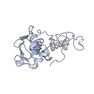 4074_5lmo_D_v1-2
Structure of bacterial 30S-IF1-IF3-mRNA translation pre-initiation complex (state-1B)