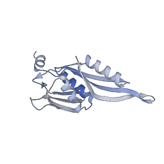 4074_5lmo_E_v1-2
Structure of bacterial 30S-IF1-IF3-mRNA translation pre-initiation complex (state-1B)