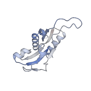4074_5lmo_H_v1-2
Structure of bacterial 30S-IF1-IF3-mRNA translation pre-initiation complex (state-1B)