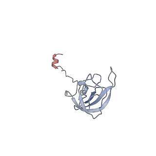4074_5lmo_L_v1-2
Structure of bacterial 30S-IF1-IF3-mRNA translation pre-initiation complex (state-1B)
