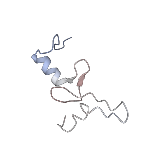 4074_5lmo_N_v1-2
Structure of bacterial 30S-IF1-IF3-mRNA translation pre-initiation complex (state-1B)