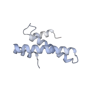 4074_5lmo_O_v1-2
Structure of bacterial 30S-IF1-IF3-mRNA translation pre-initiation complex (state-1B)