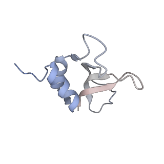 4074_5lmo_P_v1-2
Structure of bacterial 30S-IF1-IF3-mRNA translation pre-initiation complex (state-1B)