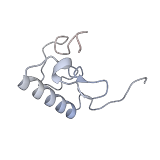 4074_5lmo_R_v1-2
Structure of bacterial 30S-IF1-IF3-mRNA translation pre-initiation complex (state-1B)