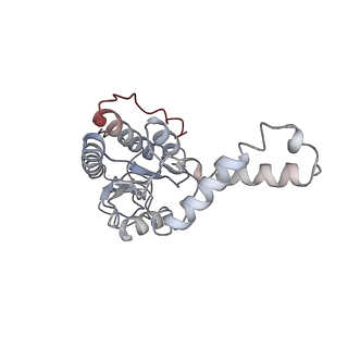 4076_5lmq_B_v1-2
Structure of bacterial 30S-IF1-IF3-mRNA-tRNA translation pre-initiation complex, open form (state-2A)