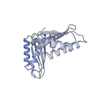 4076_5lmq_C_v1-2
Structure of bacterial 30S-IF1-IF3-mRNA-tRNA translation pre-initiation complex, open form (state-2A)