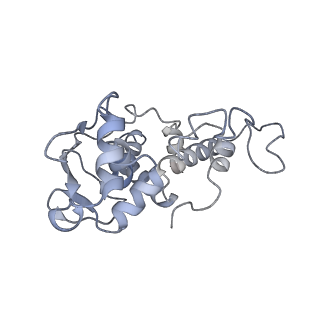 4076_5lmq_D_v1-2
Structure of bacterial 30S-IF1-IF3-mRNA-tRNA translation pre-initiation complex, open form (state-2A)