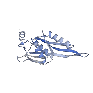 4076_5lmq_E_v1-2
Structure of bacterial 30S-IF1-IF3-mRNA-tRNA translation pre-initiation complex, open form (state-2A)