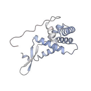 4076_5lmq_G_v1-2
Structure of bacterial 30S-IF1-IF3-mRNA-tRNA translation pre-initiation complex, open form (state-2A)