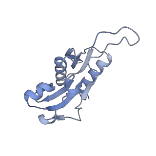4076_5lmq_H_v1-2
Structure of bacterial 30S-IF1-IF3-mRNA-tRNA translation pre-initiation complex, open form (state-2A)