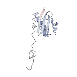 4076_5lmq_I_v1-2
Structure of bacterial 30S-IF1-IF3-mRNA-tRNA translation pre-initiation complex, open form (state-2A)