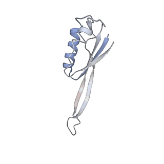 4076_5lmq_J_v1-2
Structure of bacterial 30S-IF1-IF3-mRNA-tRNA translation pre-initiation complex, open form (state-2A)