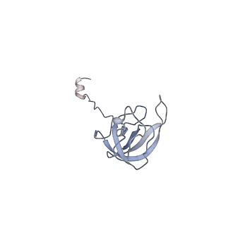 4076_5lmq_L_v1-2
Structure of bacterial 30S-IF1-IF3-mRNA-tRNA translation pre-initiation complex, open form (state-2A)