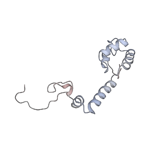 4076_5lmq_M_v1-2
Structure of bacterial 30S-IF1-IF3-mRNA-tRNA translation pre-initiation complex, open form (state-2A)