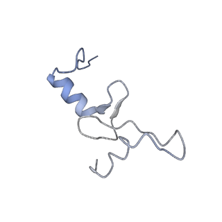 4076_5lmq_N_v1-2
Structure of bacterial 30S-IF1-IF3-mRNA-tRNA translation pre-initiation complex, open form (state-2A)
