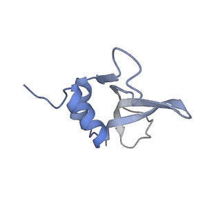 4076_5lmq_P_v1-2
Structure of bacterial 30S-IF1-IF3-mRNA-tRNA translation pre-initiation complex, open form (state-2A)