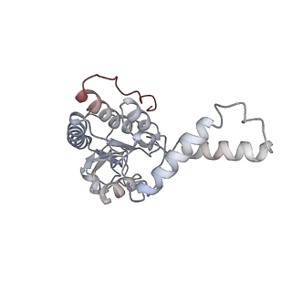4077_5lmr_B_v1-2
Structure of bacterial 30S-IF1-IF3-mRNA-tRNA translation pre-initiation complex(state-2B)