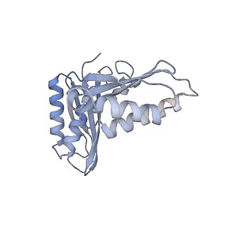 4077_5lmr_C_v1-2
Structure of bacterial 30S-IF1-IF3-mRNA-tRNA translation pre-initiation complex(state-2B)