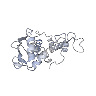 4077_5lmr_D_v1-2
Structure of bacterial 30S-IF1-IF3-mRNA-tRNA translation pre-initiation complex(state-2B)